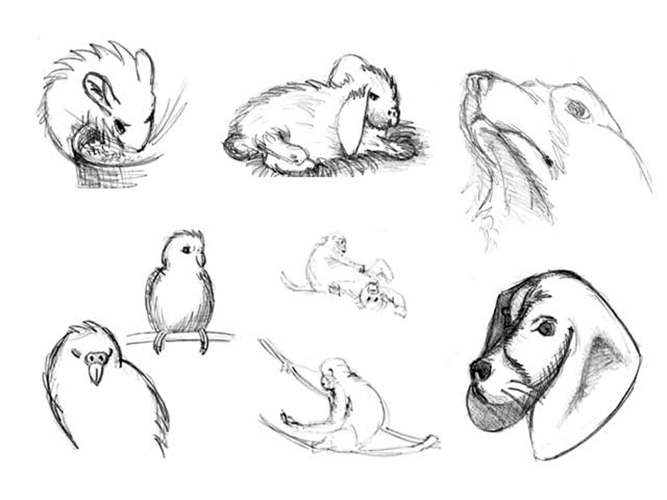 Compotation of more animal drawings