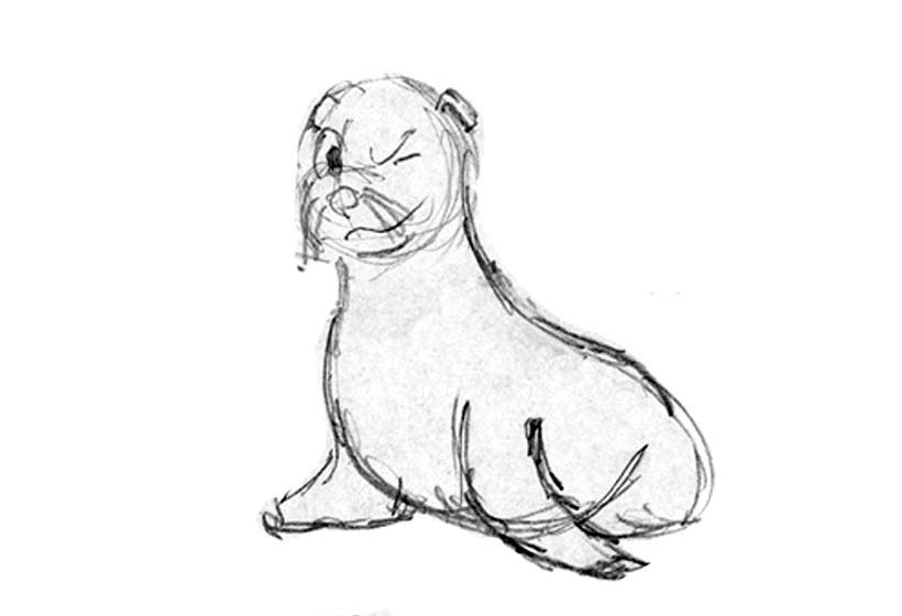 Animal Character Design